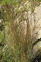 BUITEN BEELD Foto: 438678