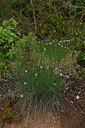 BUITEN BEELD Foto: 438679