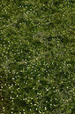 BUITEN BEELD Foto: 438681