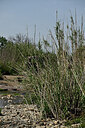 BUITEN BEELD Foto: 438683