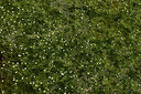 BUITEN BEELD Foto: 438690