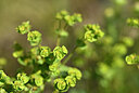 BUITEN BEELD Foto: 438691