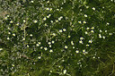 BUITEN BEELD Foto: 438692
