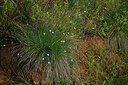 BUITEN BEELD Foto: 438694