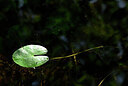 BUITEN BEELD Foto: 438697