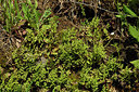 BUITEN BEELD Foto: 438700