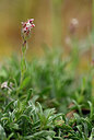 BUITEN BEELD Foto: 438702
