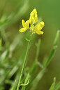 BUITEN BEELD Foto: 438703