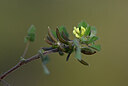BUITEN BEELD Foto: 438704
