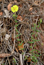 BUITEN BEELD Foto: 438705