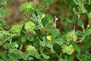 BUITEN BEELD Foto: 438706