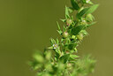 BUITEN BEELD Foto: 438709