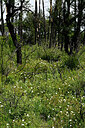 BUITEN BEELD Foto: 438710