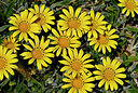 BUITEN BEELD Foto: 438713