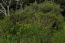 BUITEN BEELD Foto: 438715