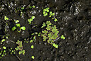 BUITEN BEELD Foto: 438717