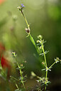 BUITEN BEELD Foto: 438721