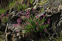 BUITEN BEELD Foto: 438725