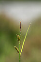 BUITEN BEELD Foto: 438727