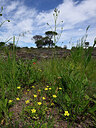 BUITEN BEELD Foto: 438729