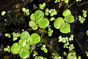 BUITEN BEELD Foto: 438743
