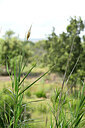 BUITEN BEELD Foto: 438747