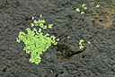 BUITEN BEELD Foto: 438752