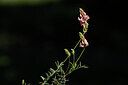 BUITEN BEELD Foto: 438759