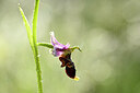BUITEN BEELD Foto: 438764