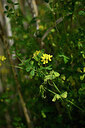 BUITEN BEELD Foto: 438765