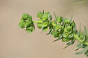 BUITEN BEELD Foto: 438768
