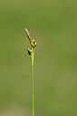 BUITEN BEELD Foto: 438769