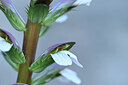 BUITEN BEELD Foto: 438780