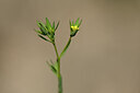 BUITEN BEELD Foto: 438787