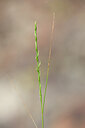 BUITEN BEELD Foto: 438791