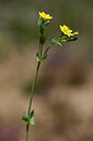 BUITEN BEELD Foto: 438795