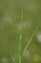 BUITEN BEELD Foto: 438802