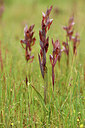 BUITEN BEELD Foto: 438813