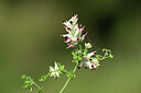 BUITEN BEELD Foto: 438815