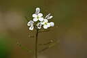 BUITEN BEELD Foto: 438819