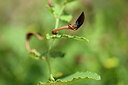 BUITEN BEELD Foto: 438821
