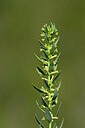 BUITEN BEELD Foto: 438829
