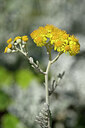 BUITEN BEELD Foto: 438838