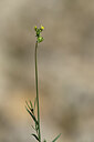 BUITEN BEELD Foto: 438840