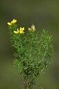 BUITEN BEELD Foto: 438843