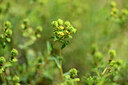 BUITEN BEELD Foto: 438844