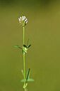 BUITEN BEELD Foto: 438849