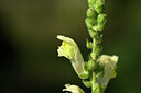 BUITEN BEELD Foto: 438852