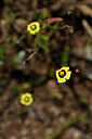BUITEN BEELD Foto: 438853