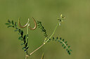 BUITEN BEELD Foto: 438855